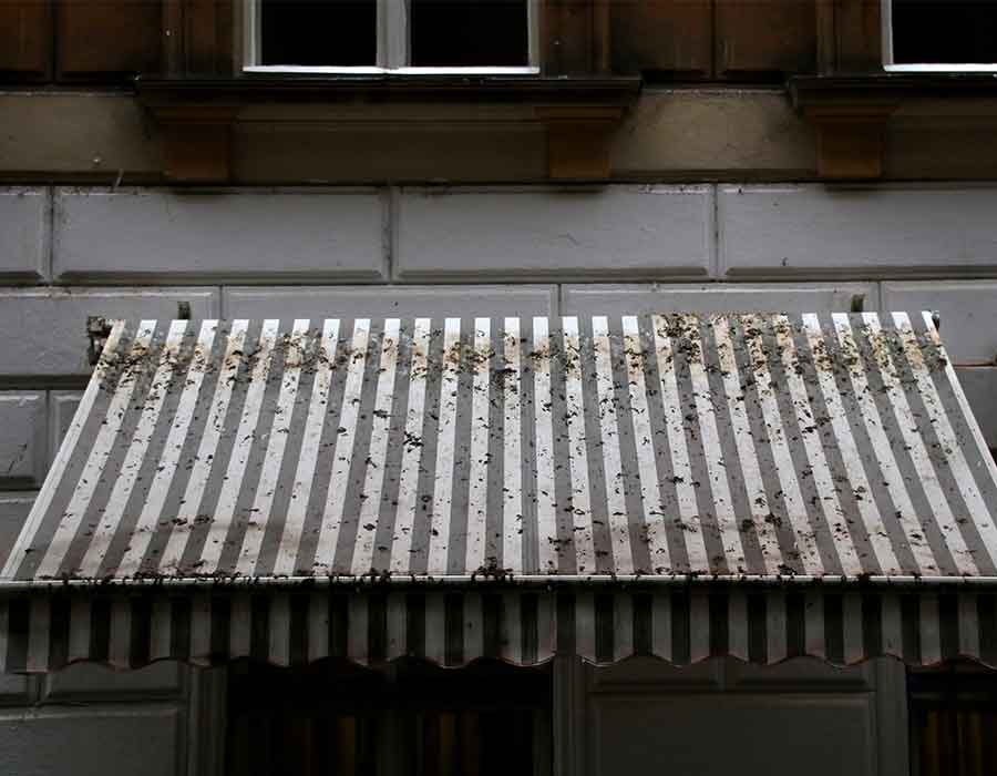 tende da sole con muffa